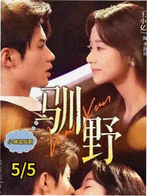 潮间带拍摄手记配图